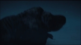 Monarch Legacy of Monsters (Hindi) - Season 01 Episode 04